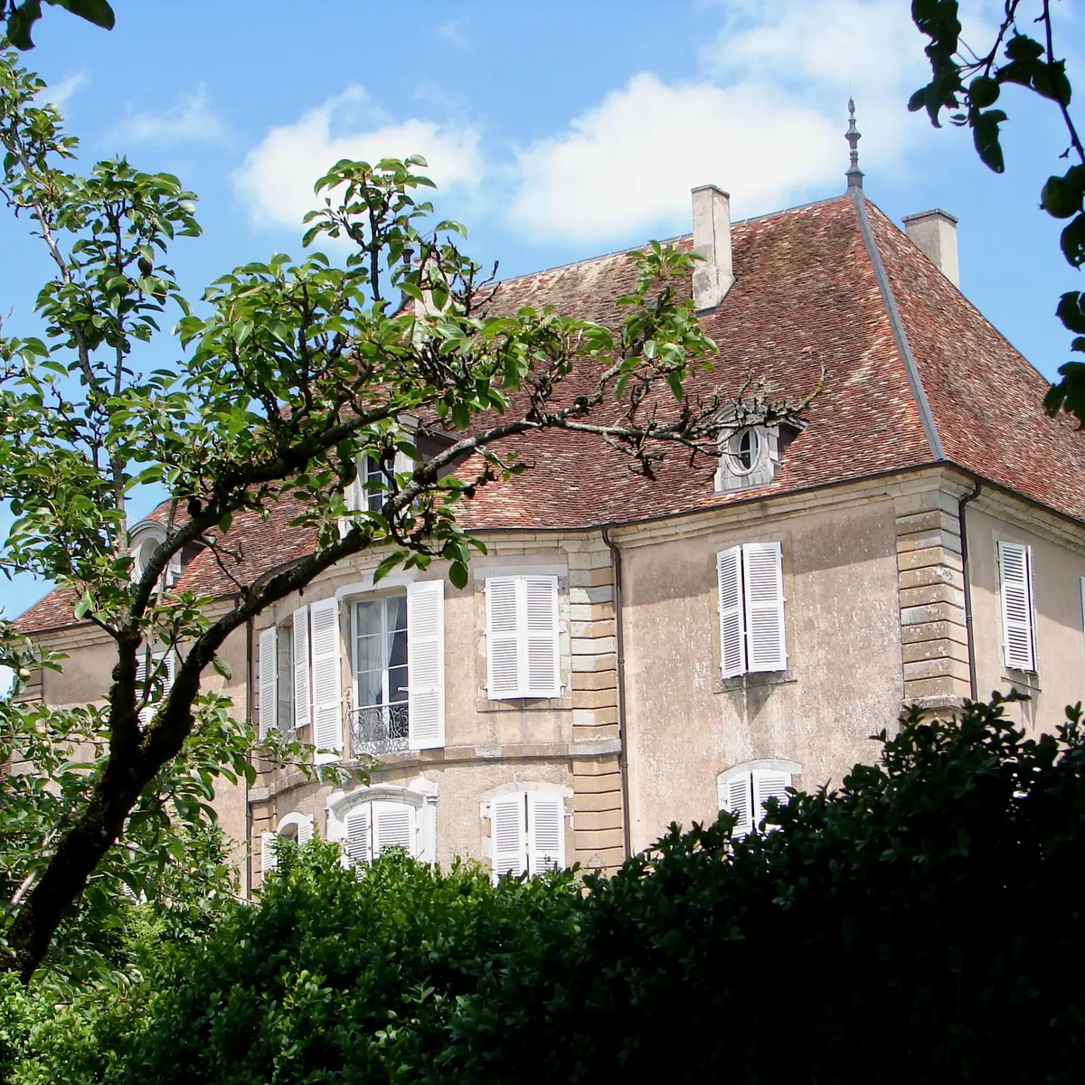Château de Pin_2