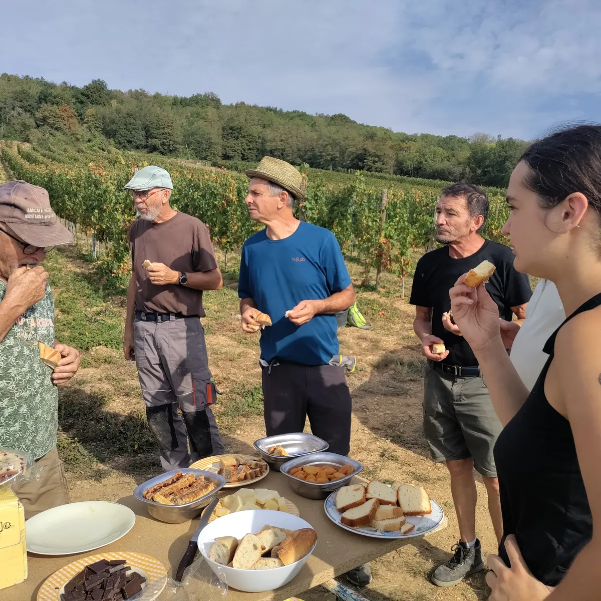 Pause Vendanges