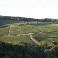 Domaine Chofflet-Valdenaire