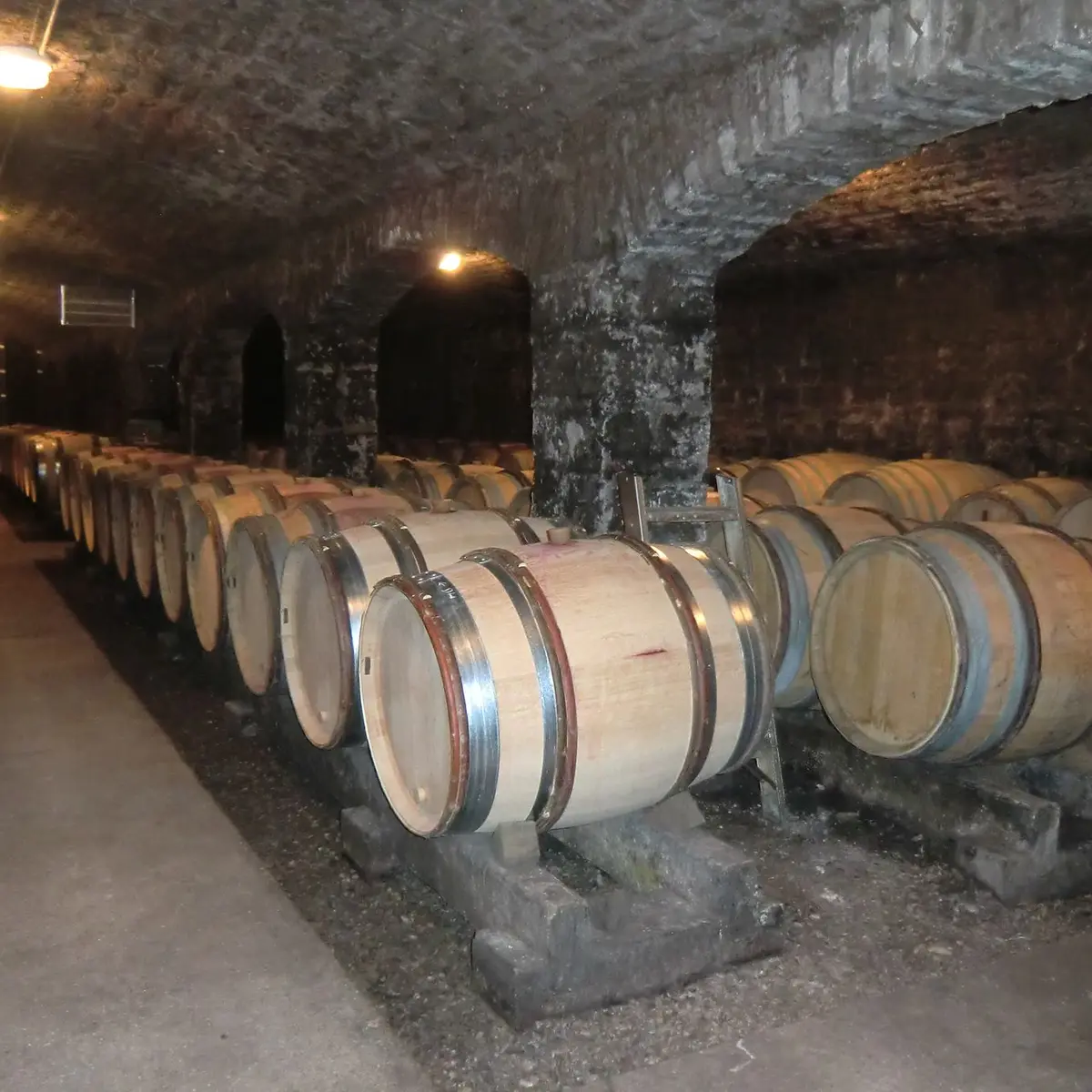 domaine-philippe-gavignet-cave-4