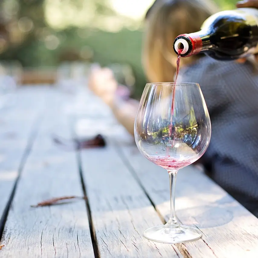 degustation-de-vin