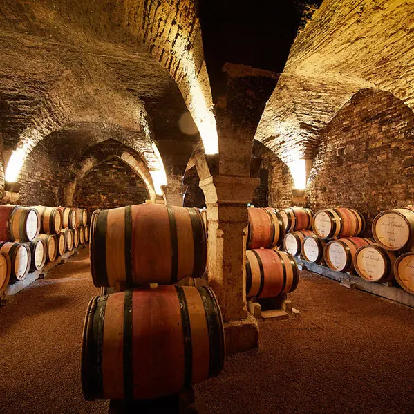 Maison Joseph Drouhin  - Beaune