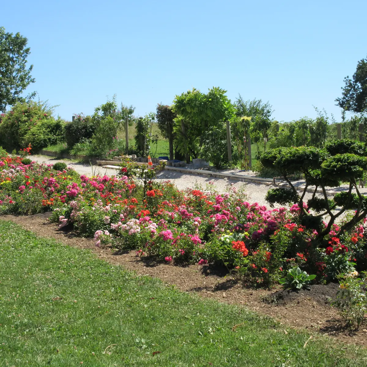 Fleurissement à Beaumotte-lès-Pin_4