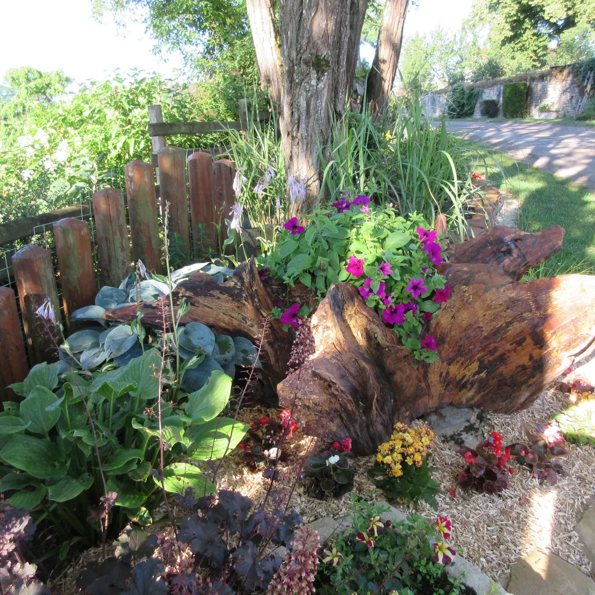 Fleurissement Beaumotte-lès-Pin_3