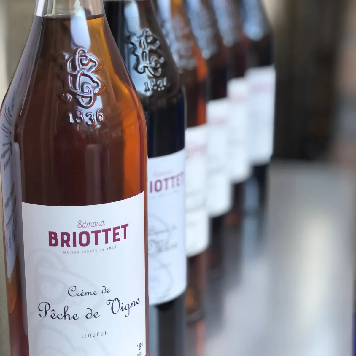 Pêche de vigne and co