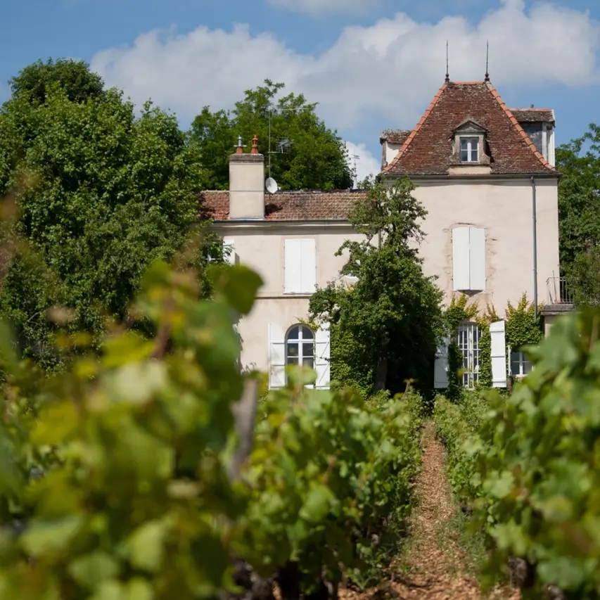 Bouteilles Comte Senard