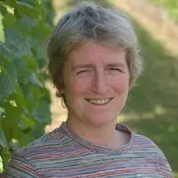 photodbvigne_3865_ Bonnardot