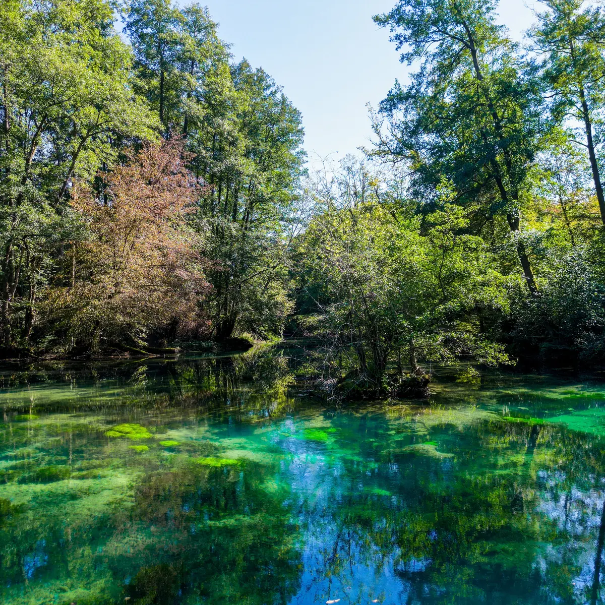 Résurgence de la Reigne