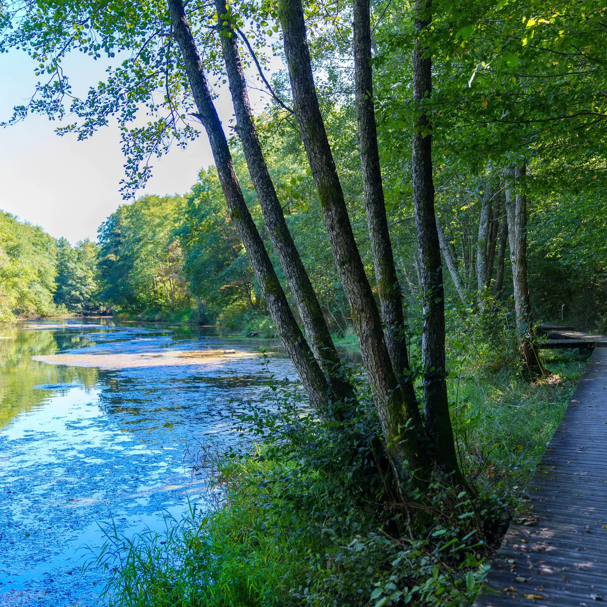 Sentier de la Reigne