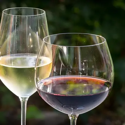 vin rouge et vin blanc