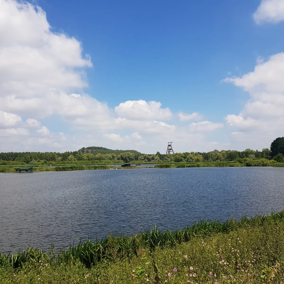 Condé sur Escaut Etang Chabaud Latour©OTCVM