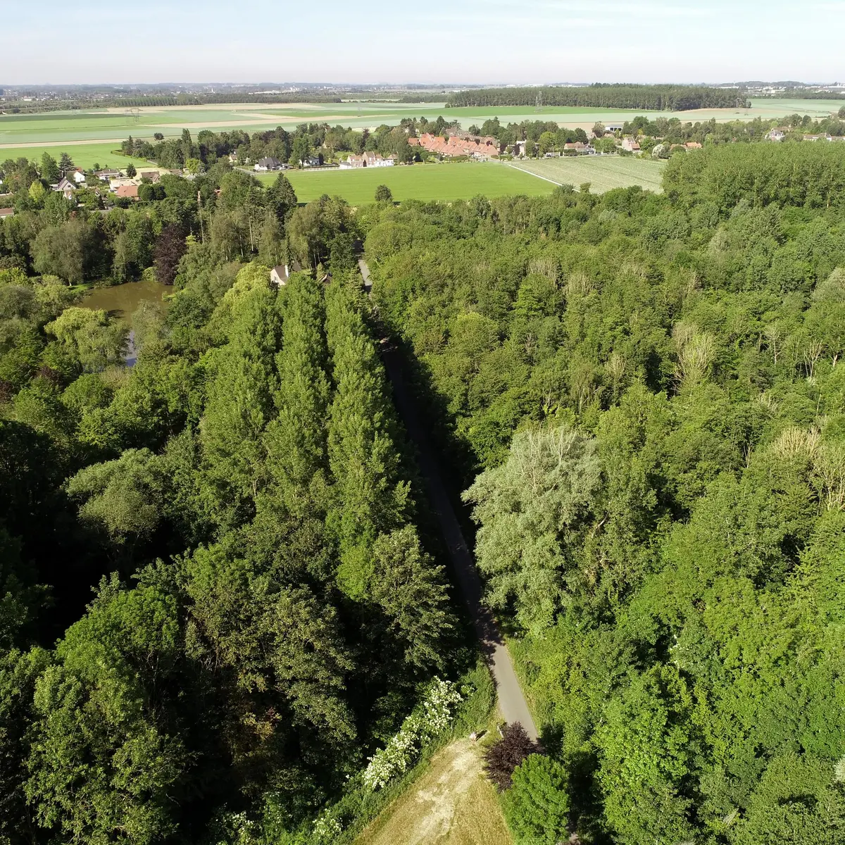 Bois de la Noyelle