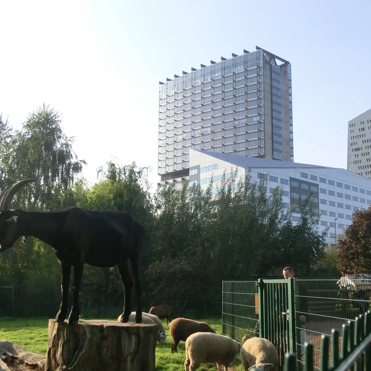 Ferme Marcel Dhenin © Lille Tourisme (10)