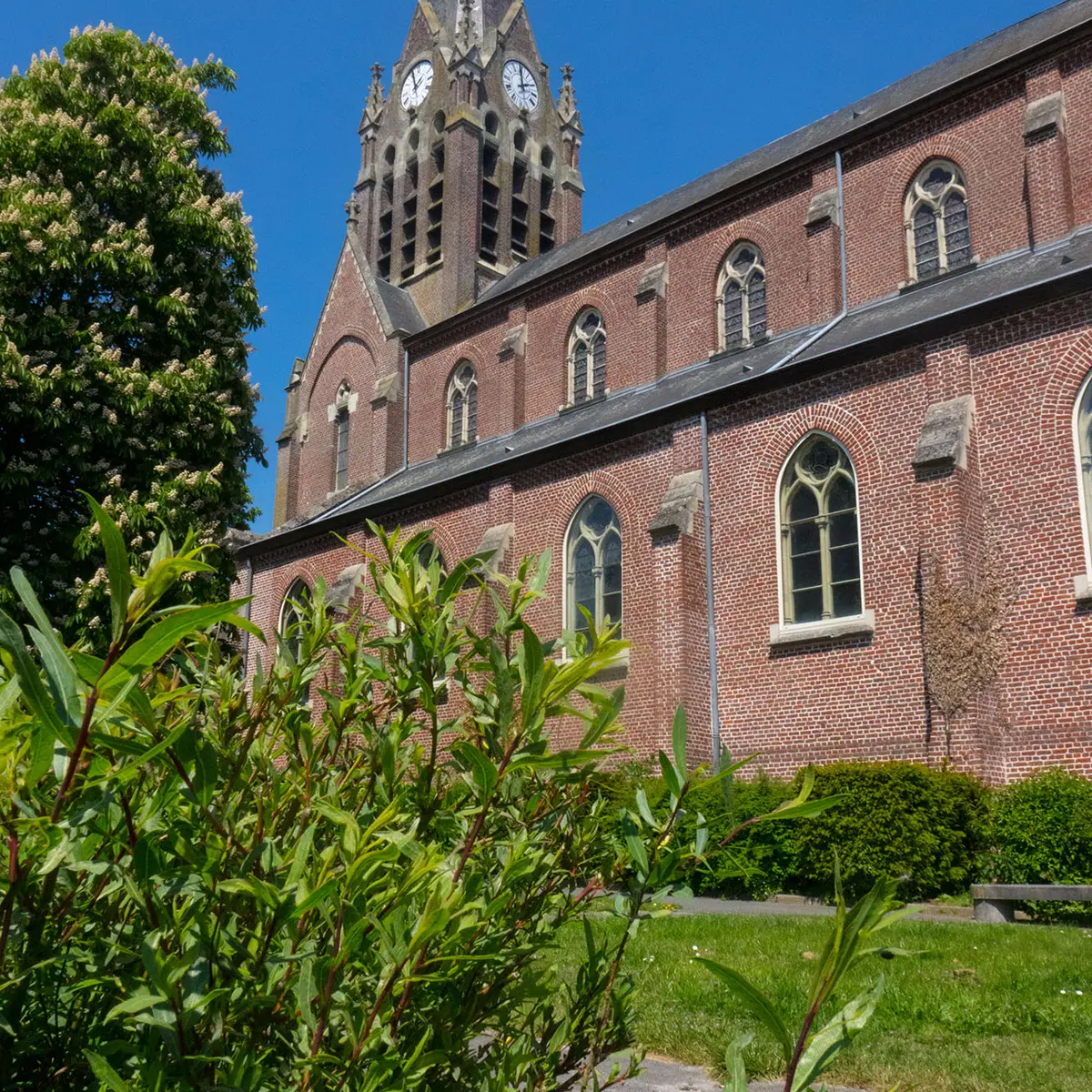 Godewaersvelde mai 2019 MV (4)