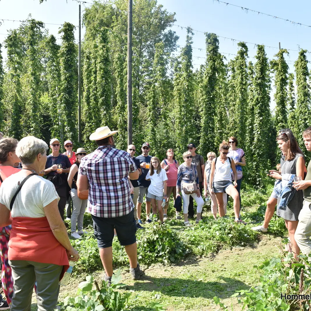 HommelpapAdeline (93)