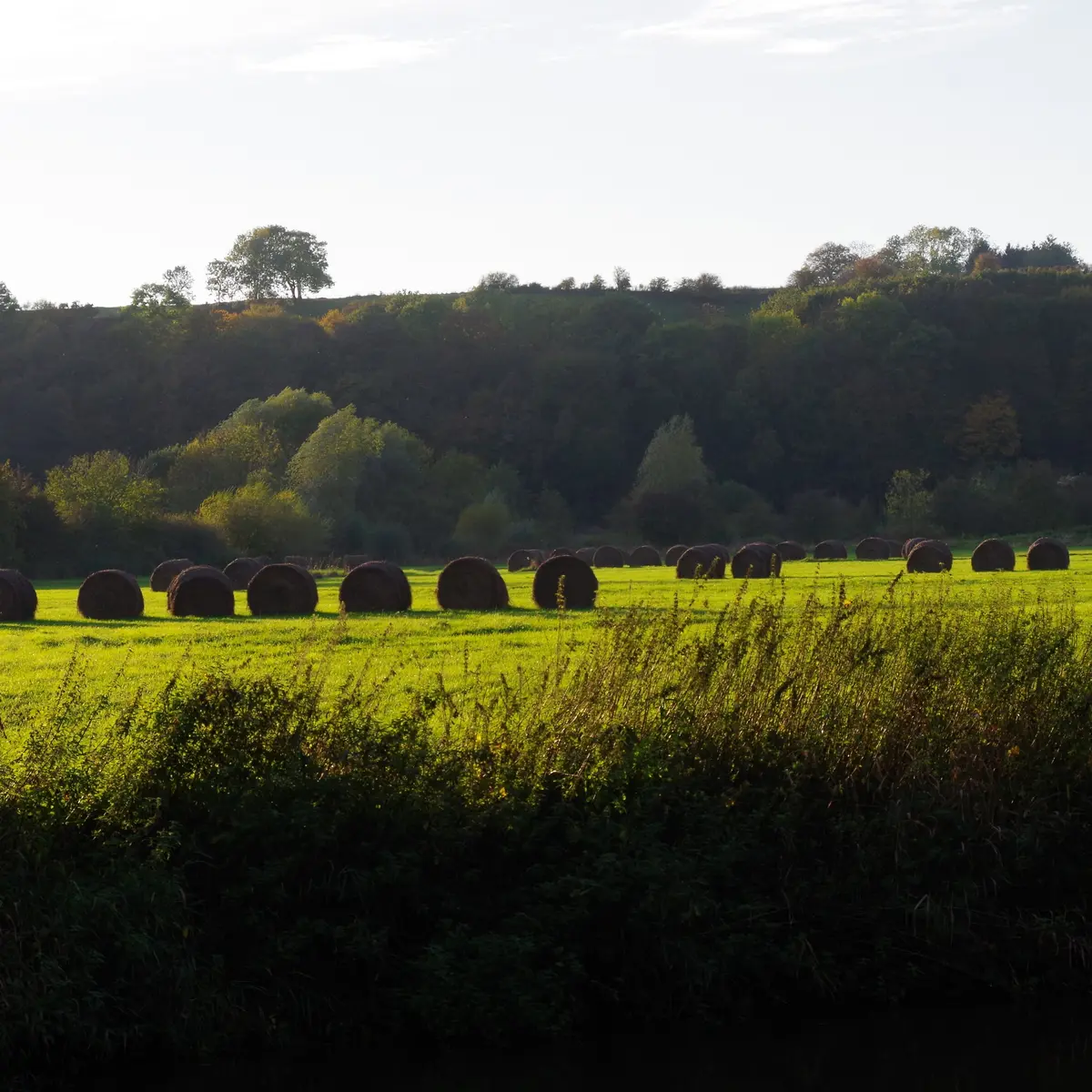 La campagne