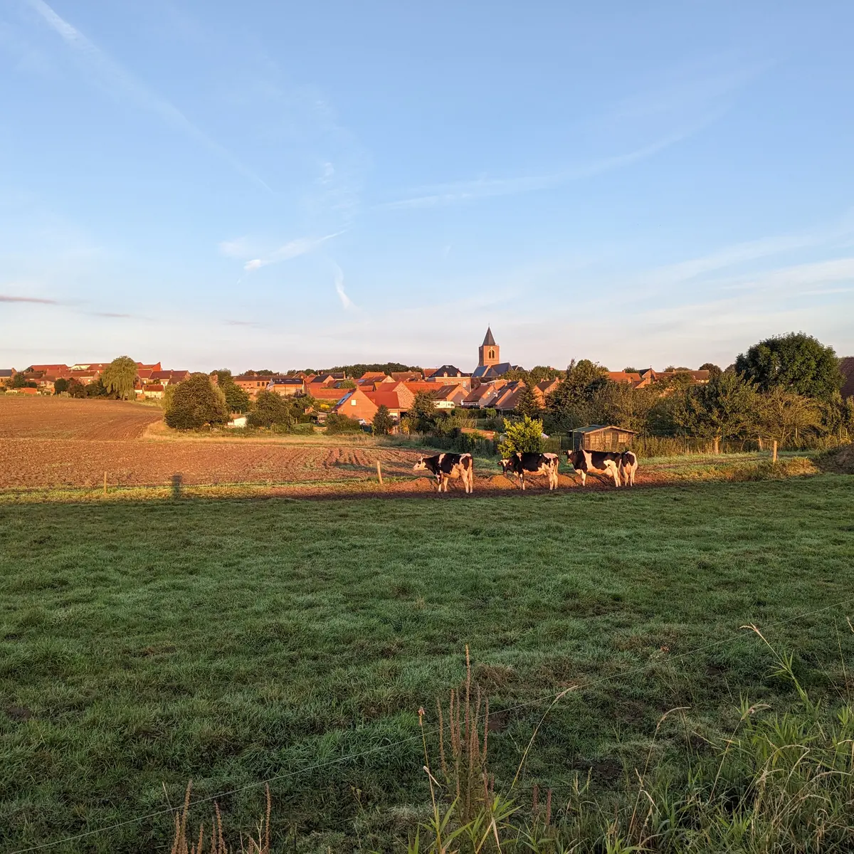 PXL_20240914_054846912 (2)