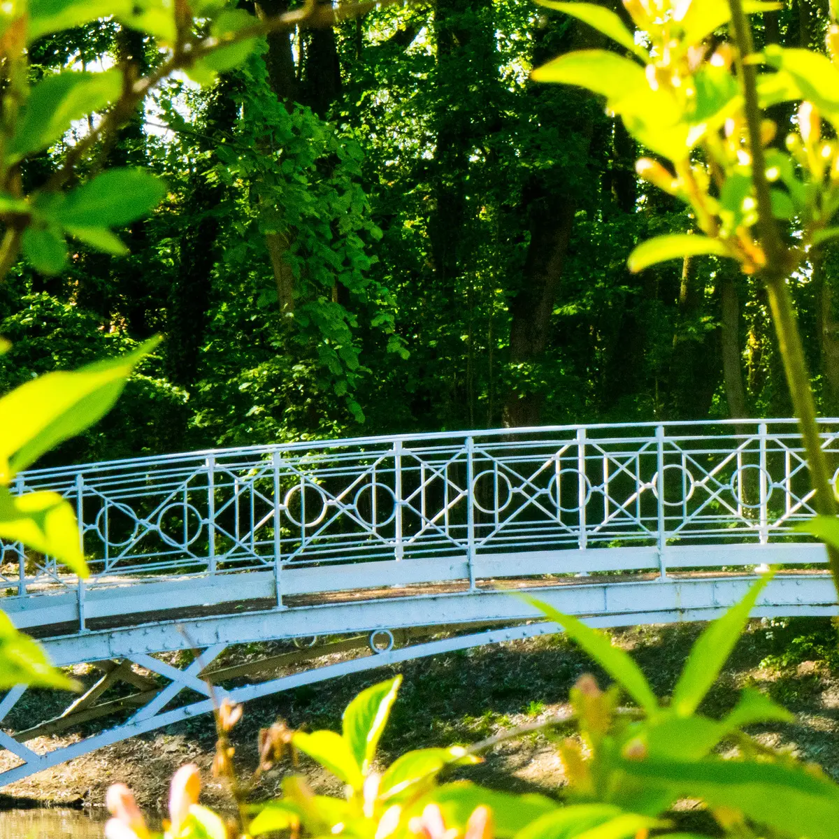 Renescure mai 2019 MV (11)