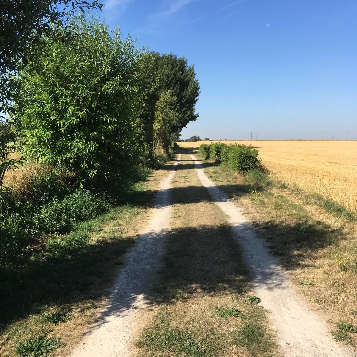 Chemin de campagne Rombies-et-Marchipont-©OTCVM_3644