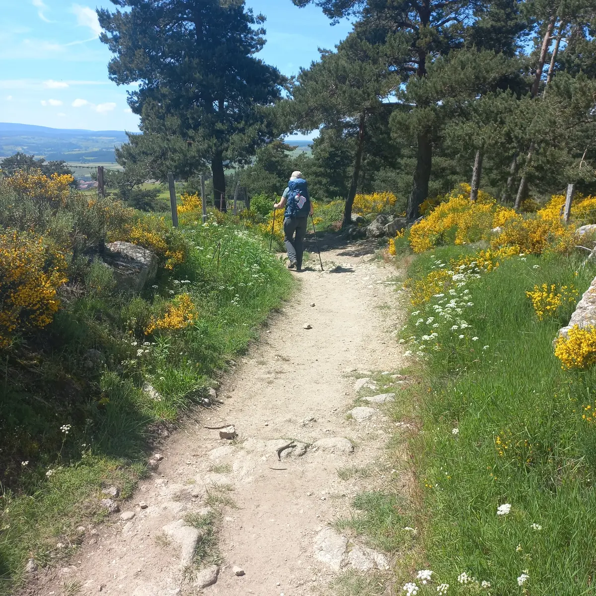 Sur le chemin avec Betty