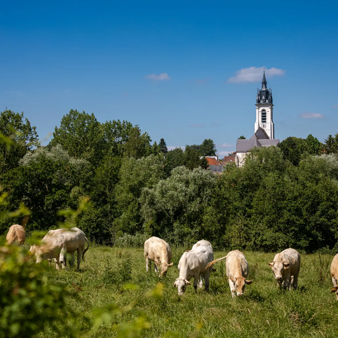Eglise saint martin Sebourg-OTCVM©claude.waeghemacker-HD-32