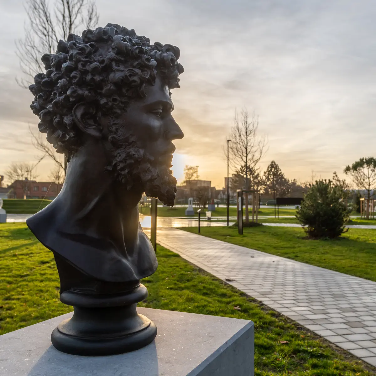 Valenciennes-parc-des-prix-de-romeThomas-Douvry-191219010