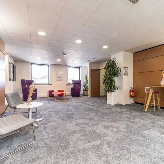 mitwit lille flandres 17