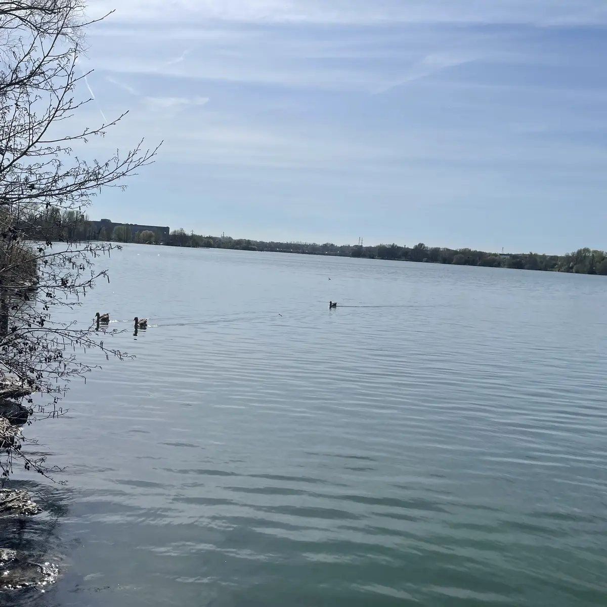 etang-vignoble-valenciennes-1