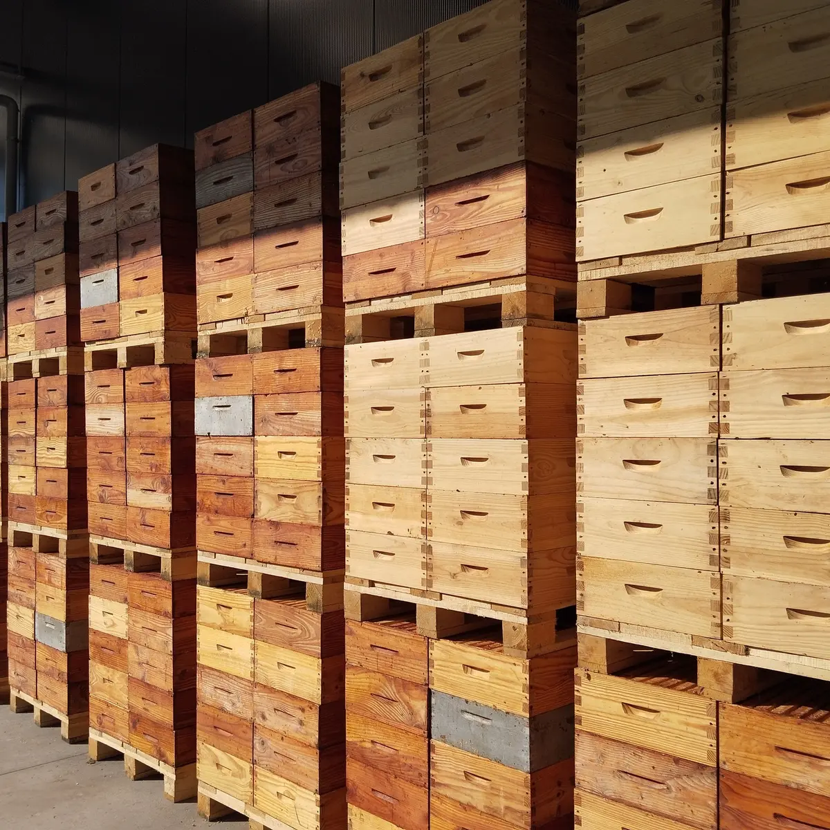 gregory-dussenne-meil-entrepot