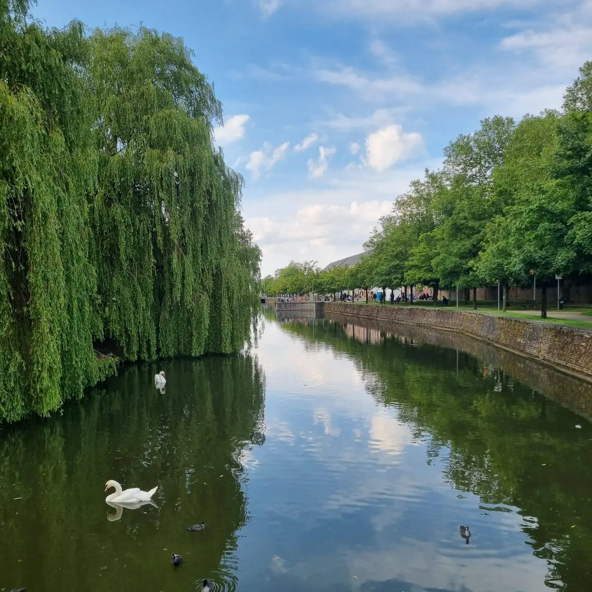 la guinguette des quais environnement nature 2024