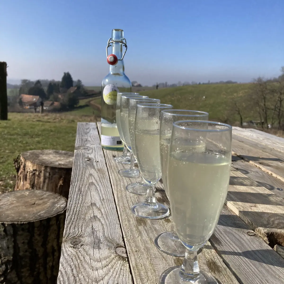 pétillant-fleur-sureau-bio-la-casseline