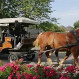promenade en calèche
