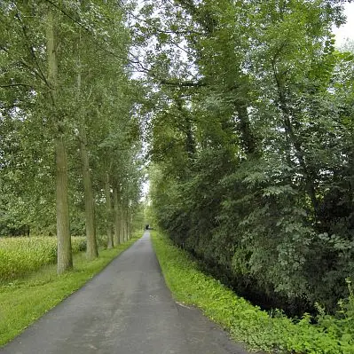 Bois de la Noyelle