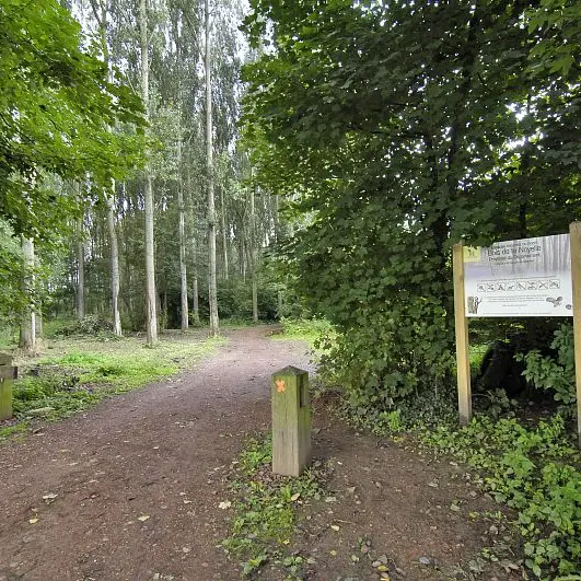 Bois de la Noyelle