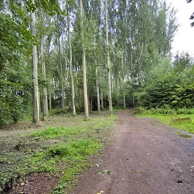 Bois de la Noyelle