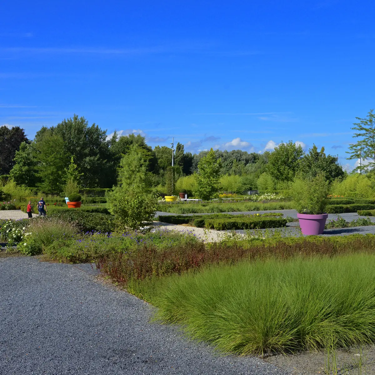 Colysée de Lambersart