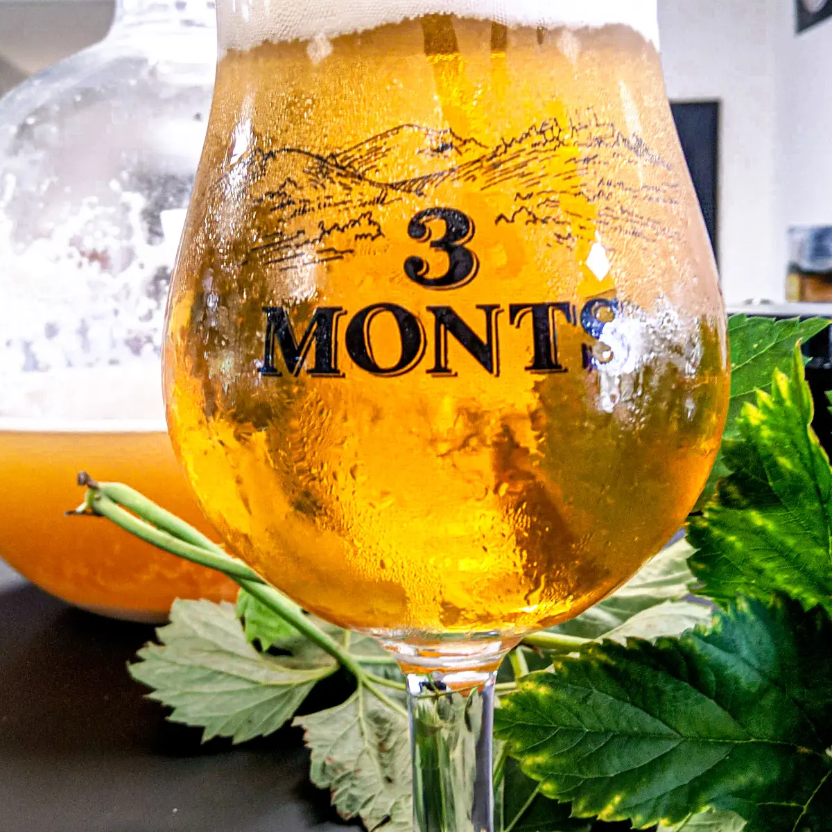 3 Monts, l'abus d'alcool est dangereux pour la santé,à consommer avec modération
