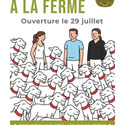 Les chèvres de Coubisou