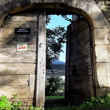 Microbrasserie Bibemus