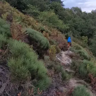 Panorama sur les gorges du Lot depuis Fombillou au Nayrac