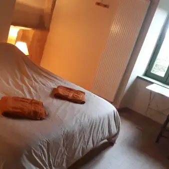 Chambre Hiboux 
2 lits 90*200 + salle d'eau (douche et lavabo)