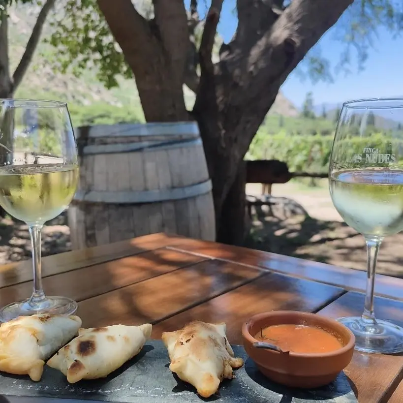 Dégustation de Torrontes à Cafayate