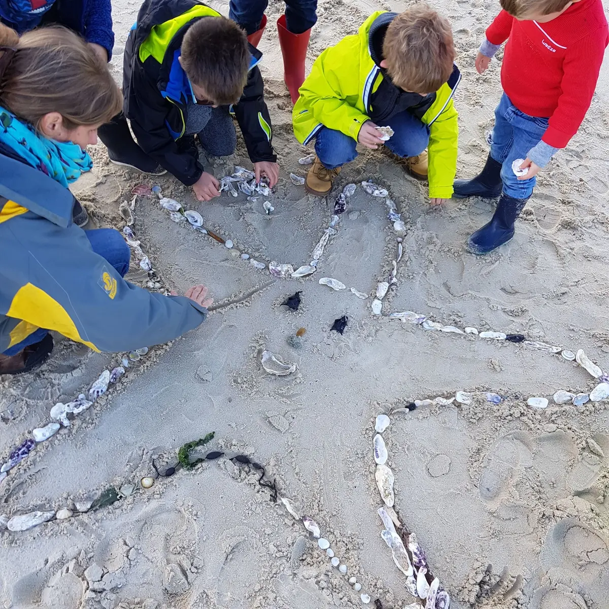 Chasse aux trésors sur la plage
