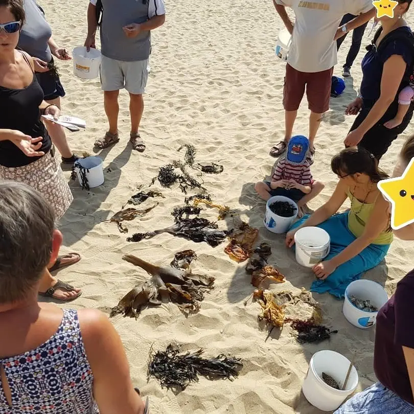 Chasse aux trésors sur la plage