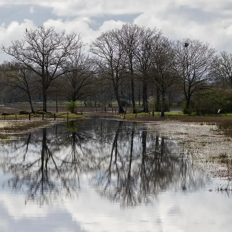 Paysage de marais en eau