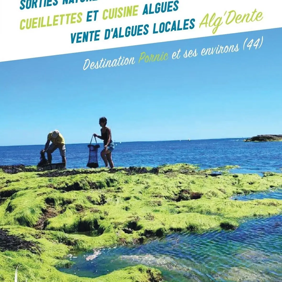 Flyer sorties nature