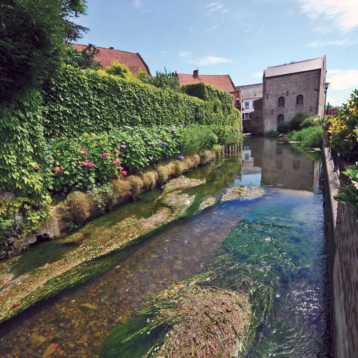 Moulin Manessier 2010 FAUQUEMBERGUES