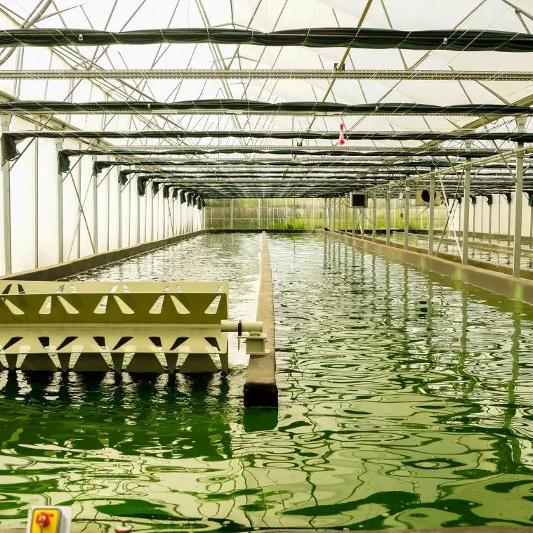 B9720348931Z.1_20190726145641_000+GLDE4A31H.1-0