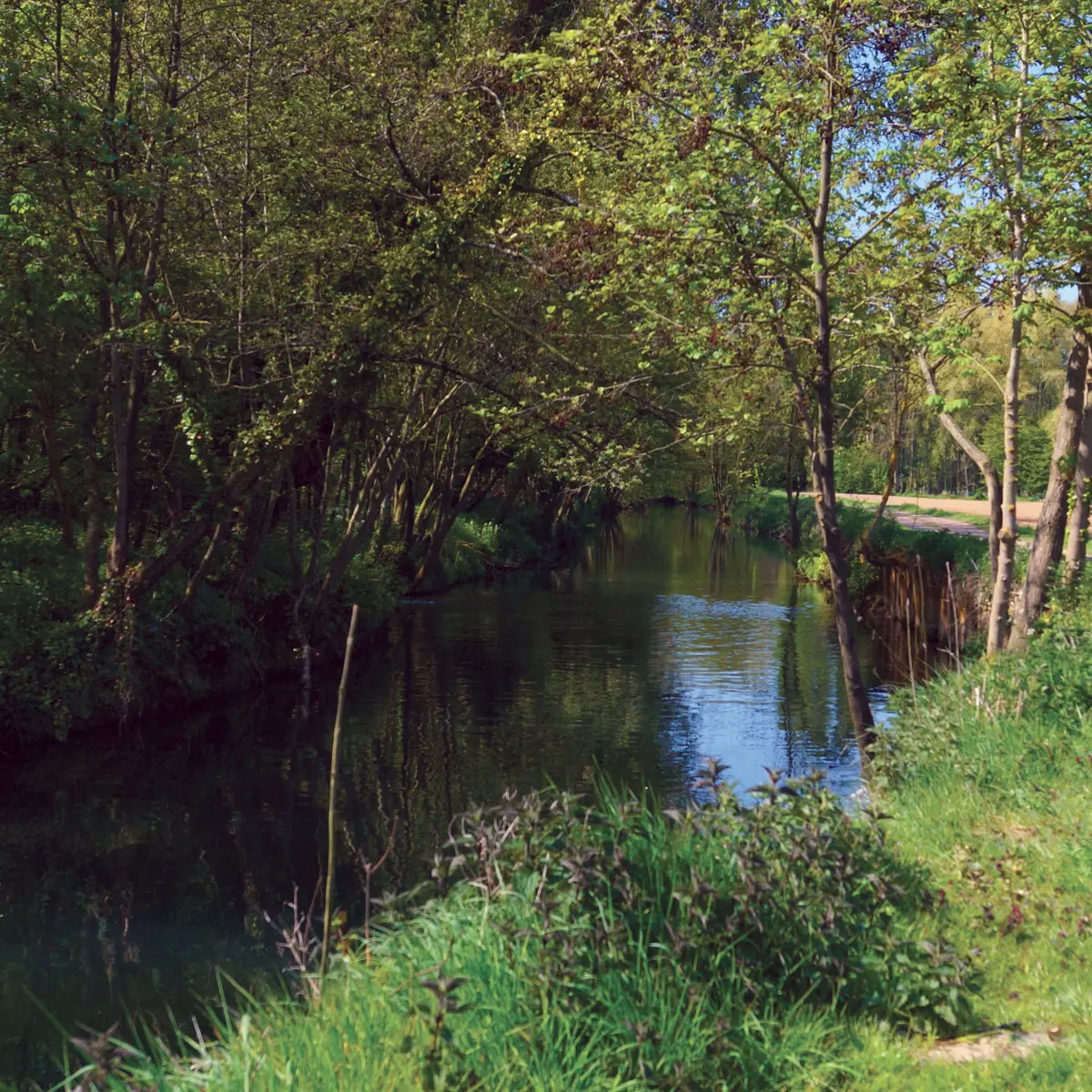 La Petite Lys AIRE-SUR-LA-LYS © Tourisme en Pays de Saint-Omer (1)