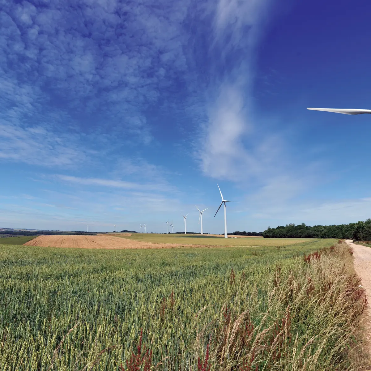 LES FAUCONS POI 2 Eoliennes 2010 FAUQUEMBERGUES